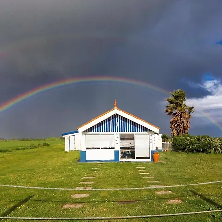 Casa Dos Flamingos * Murtosa