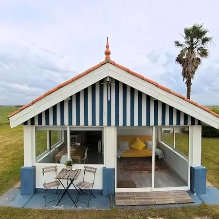 Casa Dos Flamingos Prázdninový dům Murtosa