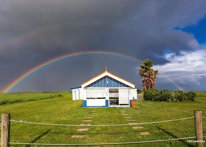 Casa Dos Flamingos * Murtosa