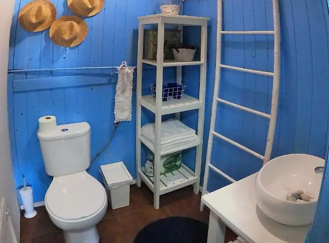 Casa Dos Flamingos Casa vacanze Murtosa