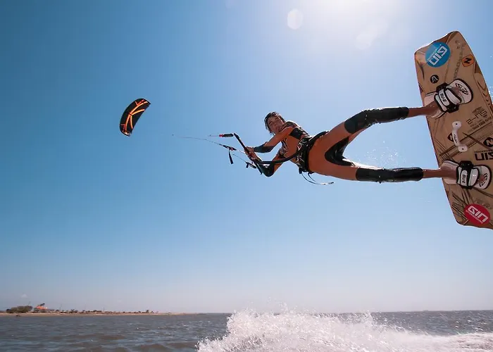 Casa Dos Flamingos * Murtosa