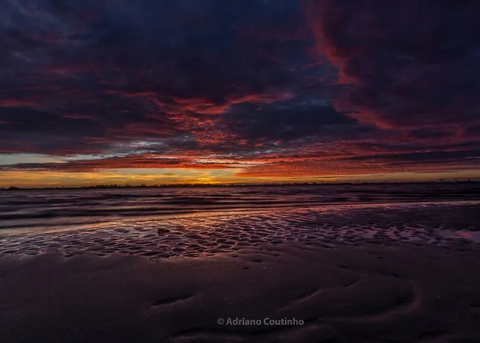 Casa Dos Flamingos * Murtosa