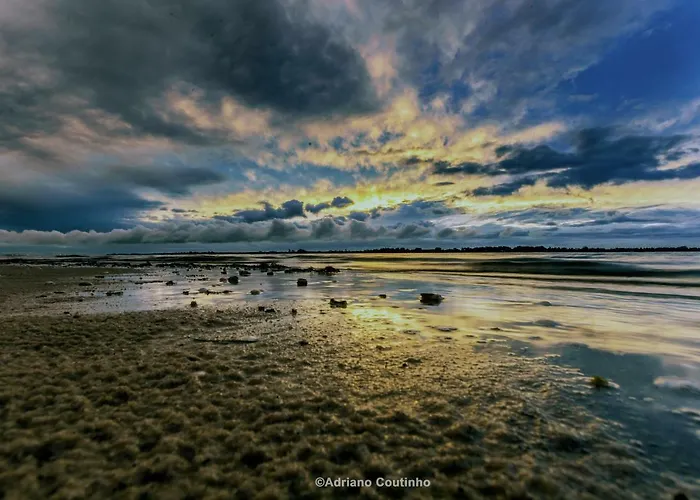 Casa Dos Flamingos * Murtosa